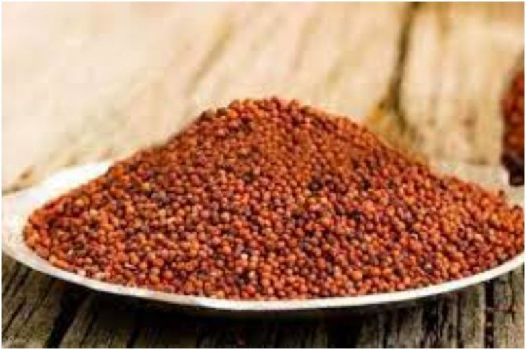 5 Different Ways Of Including Ragi In Your Daily Diet